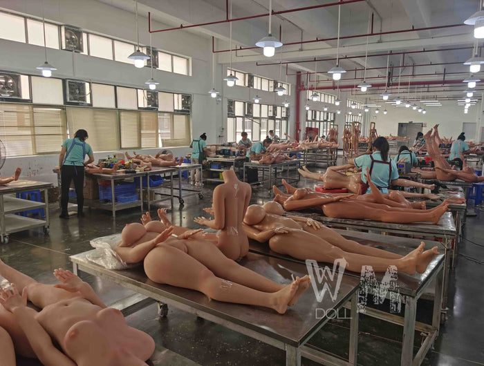 <h1><strong>Factory Profile</strong></h1>